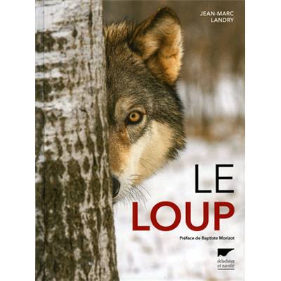 <i>J.-M. Landry</i><br>Le loup