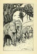 <i>E. Glanville</i><br>The hunter.<br>A story of Bushman life