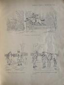 <i>Crafty</i><br>Albums :<br>Les chevaux.— Les chiens.— Croquis parisiens