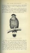<i>H. Whistler</i><br>Popular handbook of Indian birds