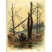 <i>F. d'Huart</i><br>Quelques feuilles mortes.<br>Souvenirs de chasse