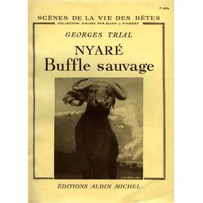 <i>G. Trial</i><br>Nyaré, buffle sauvage