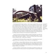 <i>J. Vettier</i><br>Grandes chasses I<br>D'Asie, d'Afrique et d'ailleurs