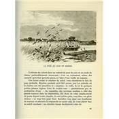 <i>J. de Witt</i><br>Chasses de Brière...<br>suivies d'une enquête sur<br>la sauvagine en France