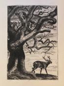 <i>J. de Ligniville</i><br>La meutte et vénerie pour le cerf.<br> La meutte et vénerie pour le lièvre.<br>Les meuttes et véneries pour le sanglier,<br>pour le chevreuil