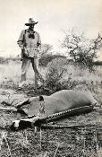 <i>R. B. Aitken</i><br>Great game animals