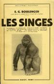 <i>E. G. Boulenger</i><br>Les singes