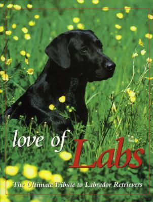 <i>B. Tarrant</i></br>Love of labs
