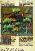 <i>Gaston Phébus</i><br>Le livre de la chasse