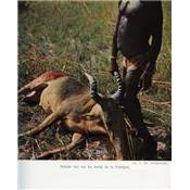 <i>J. Courmont</i><br>Chasses en Afrique