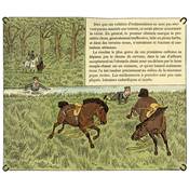 <i>Crafty</i><br>L'équitation puérile et honnête