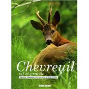 <i>L. Cabanau</i><br>Chevreuil vif et gracile
