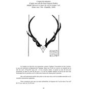 <i>G. Dupuy </i><br>La croix du cerf.<br>L'os du c&#0156;ur du cerf