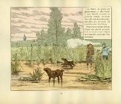 <i>Crafty</i><br>La chasse à tir