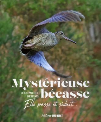 <i>J.-M. Desplos</i><br>Mystérieuse bécasse.<br>Elle passe et séduit...