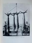 <i>Z. Grey</i><br>Tales of Fishes