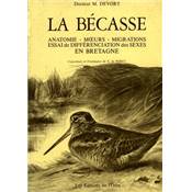 <i>M. Devort</i><br>La bécasse