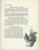 <i>J. de Witt</i><br>Émotions de chasse