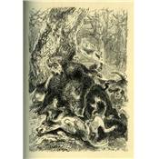 <i>Marquis de Foudras</i><br>Les gentilshommes chasseurs