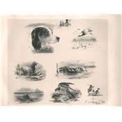 <i>F. d'Orléans</i><br>Croquis lithographiques