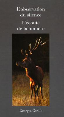 <i>G. Carillo</i><br>L'observation du silence.<br>L'écoute de la lumière