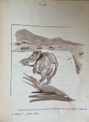 <i>M. Fortoul</i><br>Au galop derrière les sangliers