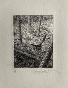 <i>CNB</i><br>Étranges bécasses