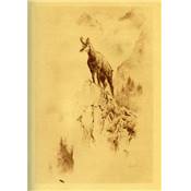 <i>P. Bachelard</i><br>En chassant des Vosges aux Carpathes