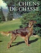 <i>J.-É. Benech</i><br>Chiens de chasse