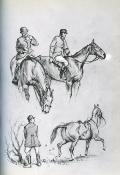 <i>A. Guest & T. Jackson</i><br>The hunting year