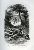 <i>T. Mayne-Reid</i><br>Les veillées de chasse