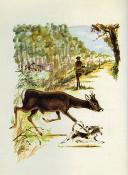 <i>T. Burnand</i><br>150 aventures de chasse et de pêche