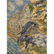 <i>R. Reboussin</i><br>L'oiseau chez lui.<br>Oiseaux de mer et de rivages