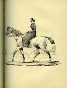 <i>Vicomte L. de Hédouville</i><br>La femme à cheval.<br>Théorie, pratique, anecdotes