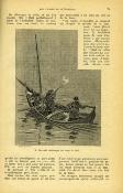 <i>E. d'Hervilly</i><br>Les chasseurs d'édredons.<br>Voyages et singulières aventures<br>de M. Barnabé (de Versailles)