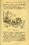 <i>L. de Lajarrige</i><br>Manuel pratique de l'amateur de chiens...