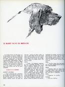 <i>M. Parent</i><br>Chiens de race,<br>races de chiens