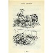<i>G. Lanorville</i><br>Les chasses au sanglier