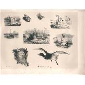 <i>F. d'Orléans</i><br>Croquis lithographiques