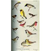 <i>B. E. Smythies</i><br>The birds of Burma