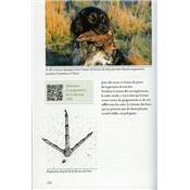 <i>A. David</i><br>Traces et empreintes d'animaux sauvages