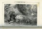 <i>Marksman</i><br>Le tireur infaillible.<br>Guide du sportsman…