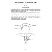 <i>G. Dupuy </i><br>La croix du cerf.<br>L'os du c&#0156;ur du cerf