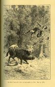 <i>P. Dhormoys</i><br>Souvenirs d'un vieux chasseur.<br>Aventures presque véridiques