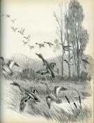 <i>J. de Witt</i><br>Émotions de chasse