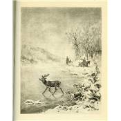 <i>Comte R. de Martimprey</i><br>Sous l'égide de St-Hubert.<br>Contes et nouvelles de chasse