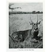 <i>J. L. Clark</i><br>Trails of the hunted