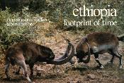 <i>T. Gabre-Medhin</i><br>Ethiopia,<br>footprint of time