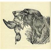 <i>G. Cocu</i><br>La chasse à la sauvagine.<br>13 années d'observations et de chasses<br>à la hutte de l'Estacade<br>près Saint-Valery-sur-Somme…<br>La chasse en baie de Somme