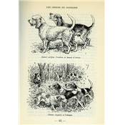 <i>G. Lanorville</i><br>Les chasses au sanglier